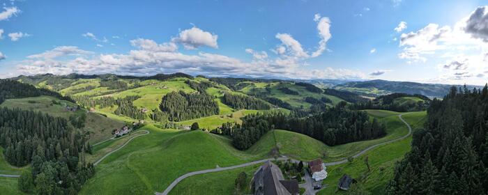 Leistungen Andreas Wüthrich